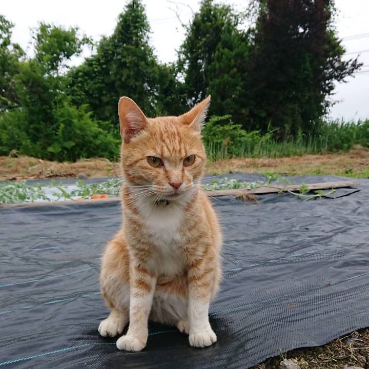 552a5be0 e766 47d8 90de 7fbf1c44d5b0 1592514453300