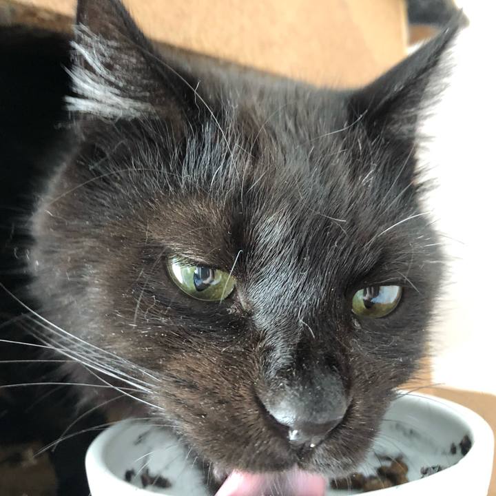 552a623c 07a7 46a5 90bb 7a2c0a5d456b 1593818405679