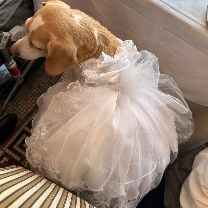 552a7cae 7adc 4bd6 9759 21f4d8ecb1bb 1669015914838