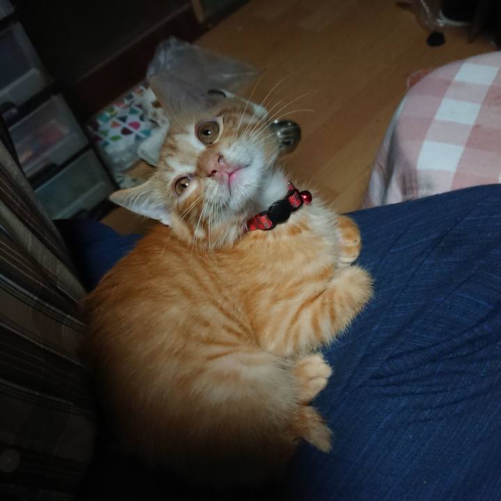 552aa393 a860 42b6 b188 e0e9a8457ad7 1630876595221