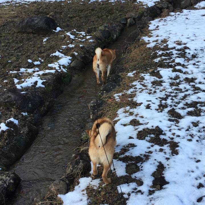 552aa3ed 2f0f 4c74 b935 f97ec46a27b3 1515144011332