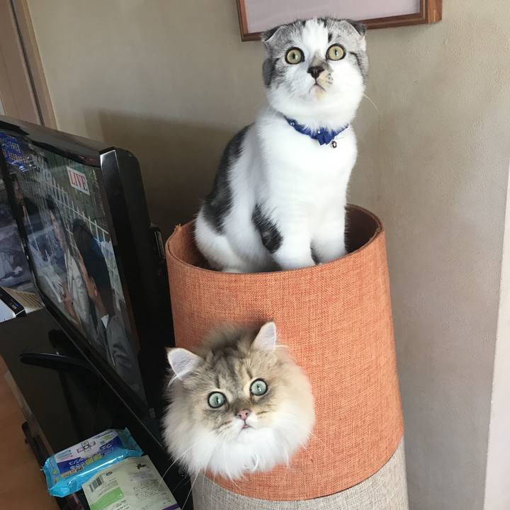 552b01ee 89bd 487d afc4 a08013349333 1635241851133