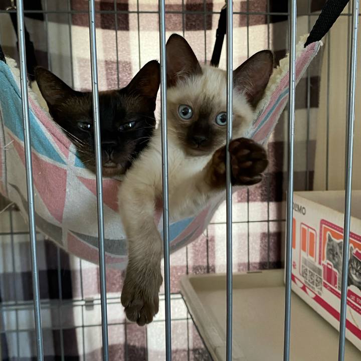 552b4f41 1b75 4868 8f30 8047240b4220 1749011888284