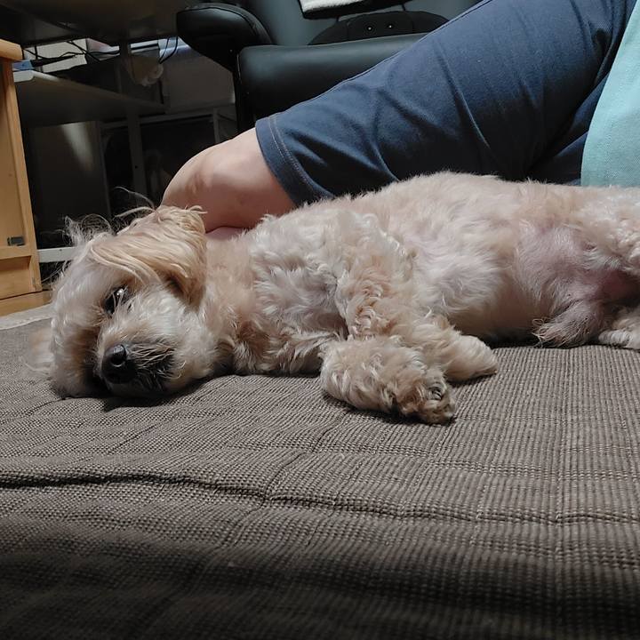 552b6c67 5fb4 4b90 bdd7 cea101e02627 1719482190359