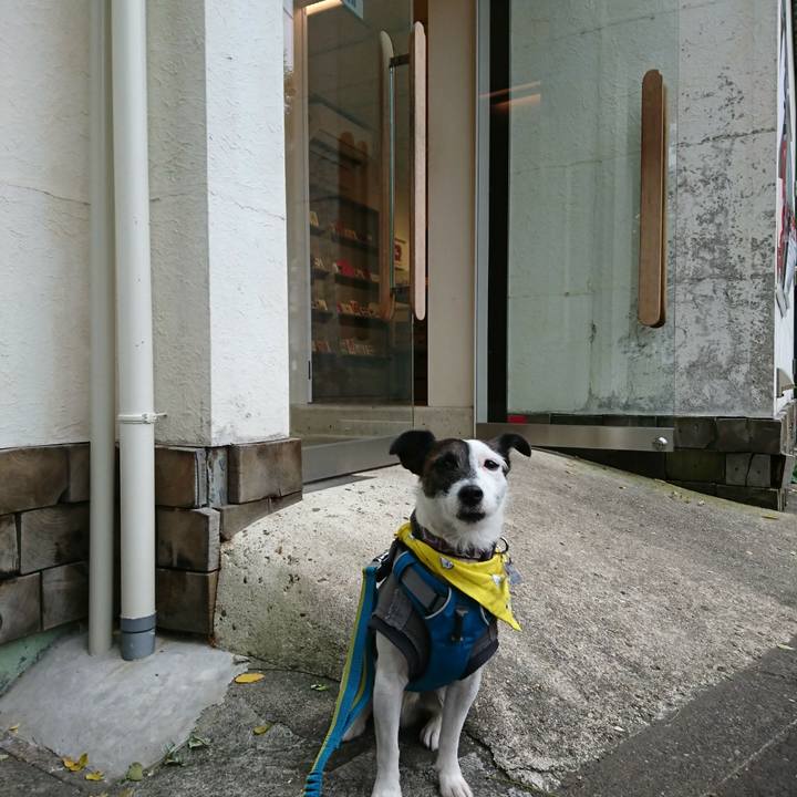 552b91dd 3828 487c aa9e 46da9842a61a 1510978588659