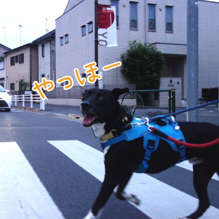 552bab92 2253 48d1 b372 84a89744876a 1622718473473