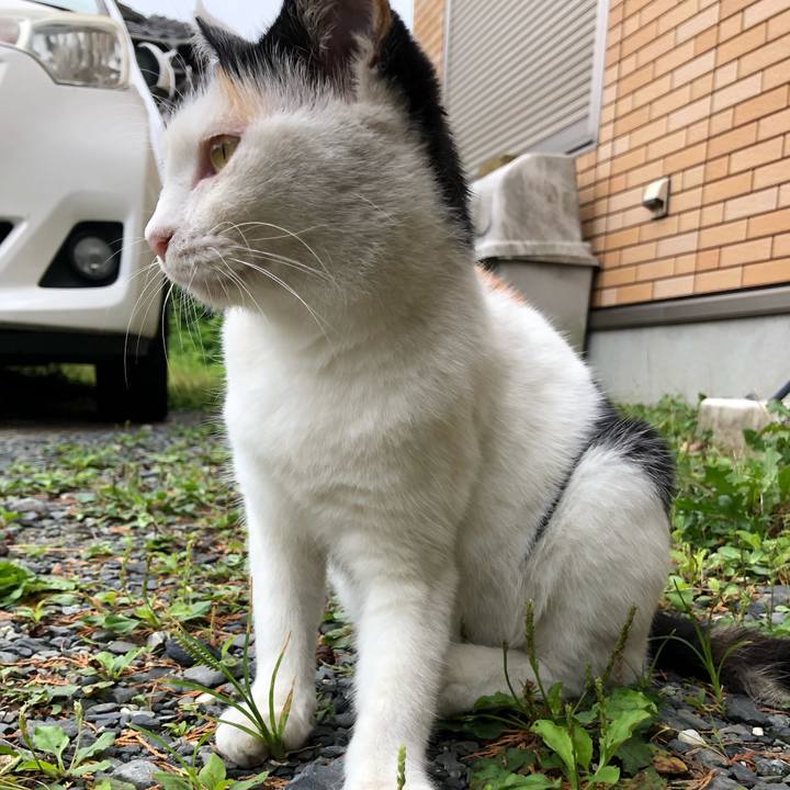 552bda95 5192 45ea a2e5 4e84a58777b3 1599983743877