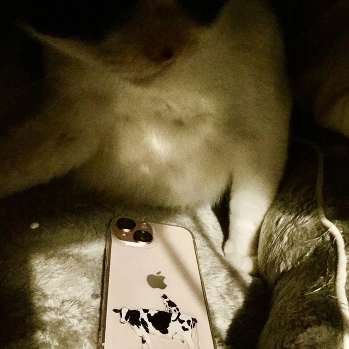 552c092f 2535 43de 80c6 38fa0960aa11 1639660389447