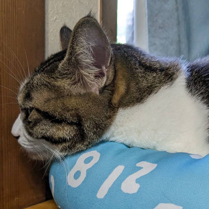 552c5089 2c37 4609 b202 b3291a7ec8c9 1691620450916