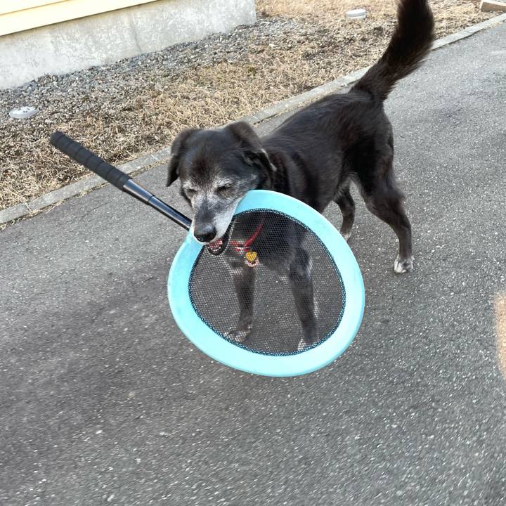 552c6fdc 27de 48a5 a861 3f07060ee227 1774335515715