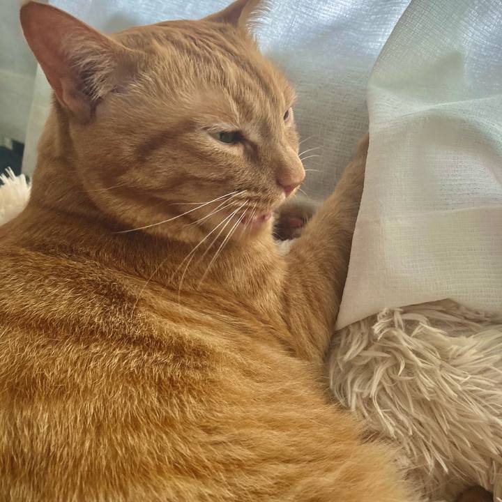 552d1eaf 35d7 4322 a514 47f20002d685 1621138160162