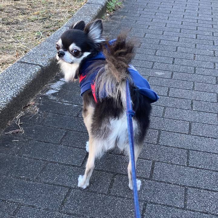 552d36dd 49a9 4c42 921e ee0c505cfe98 1706284405436