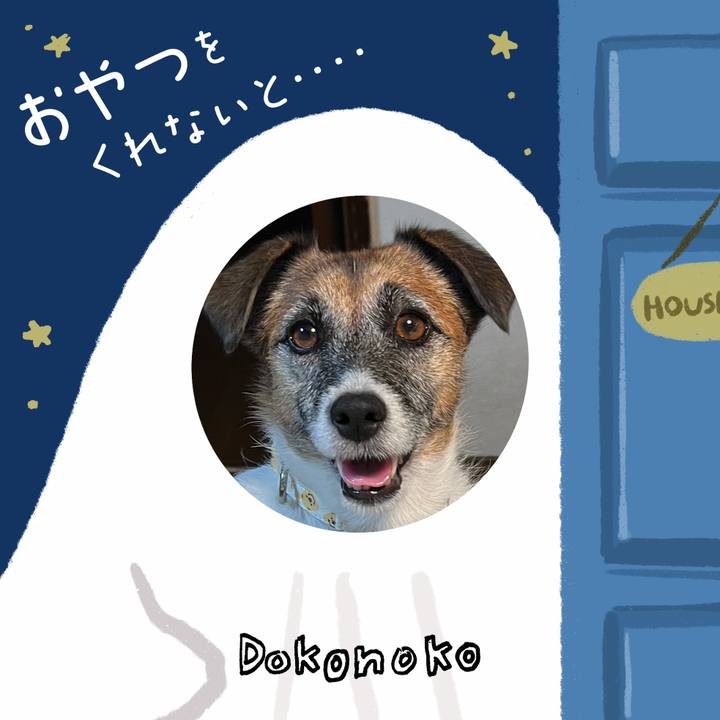 552d3fbe 22f0 4217 8434 b59ed643c2f9 1729082041072