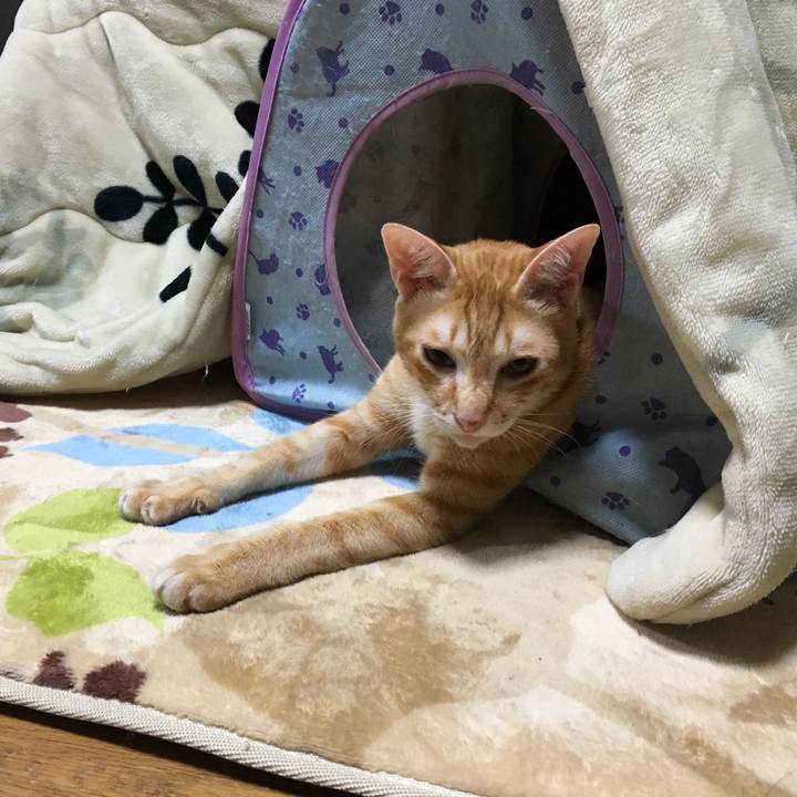 552d4d4d a9d6 4bb3 a5eb fc6a8e79b83b 1508059678329