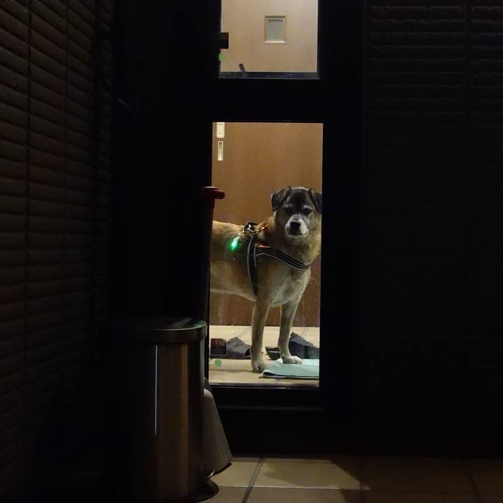 552d6b7e 30c6 4dd0 9b2b e4c5db8e5564 1573821775631