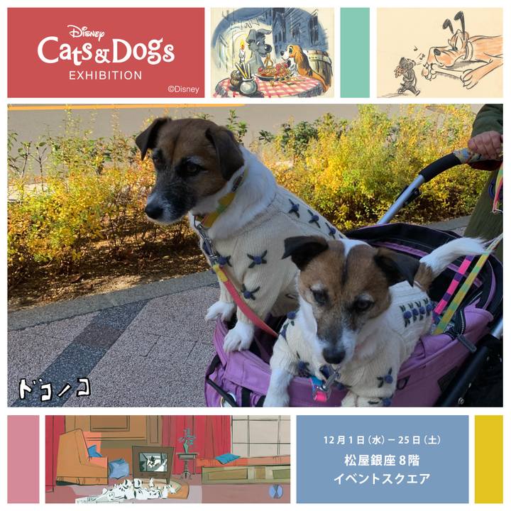 552db66b c574 41c7 893b 33c44e83423f 1639882599378