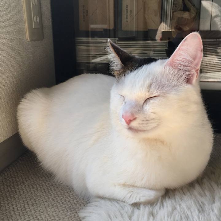 552ddd9f 9e74 4b9e 947f 37637a472b19 1521346711246