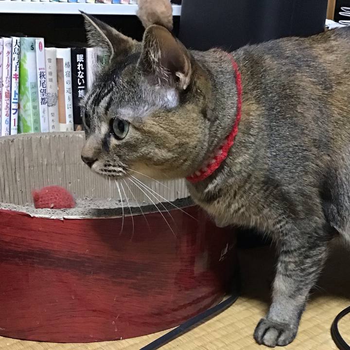 552e0baa 5481 4420 858c ba4ea2d46290 1680954654664