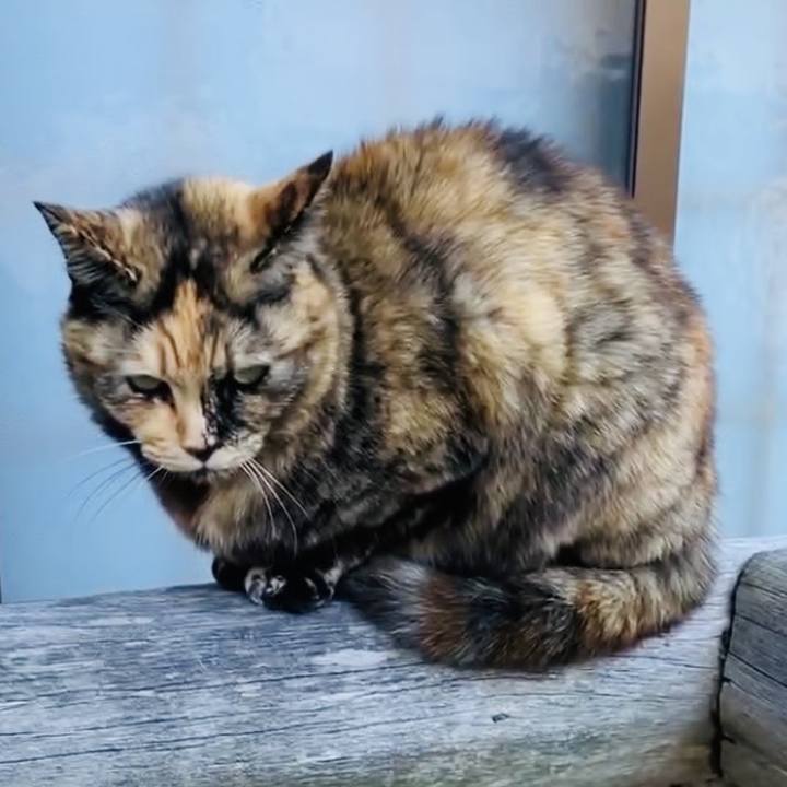 552e1ff8 5db7 4b90 aa39 af847625ffdd 1732950962285