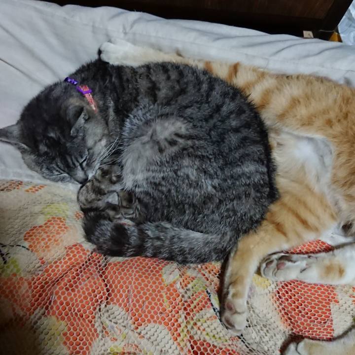 552e7af1 cf82 4407 b569 4fe3452335c4 1591187229485