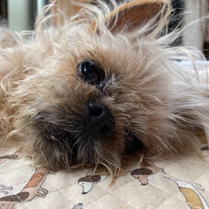 552e9a2a d78c 4f01 89f6 f3855b82cacc 1636597763479