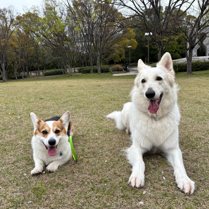 552eb11f 4fd1 4b14 a361 77cd99aac51d 1775537734275