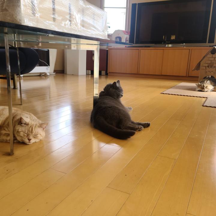 552edfe1 47ab 4978 8010 34833d1cfe09 1649836075781