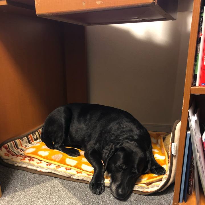 552ee658 4e28 4e49 bd03 cd6188cedca4 1572747540271