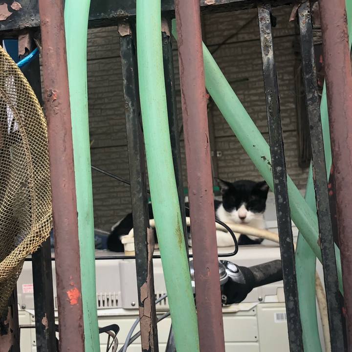 552f2340 61d3 4be0 8a01 0945dc034947 1633430668210