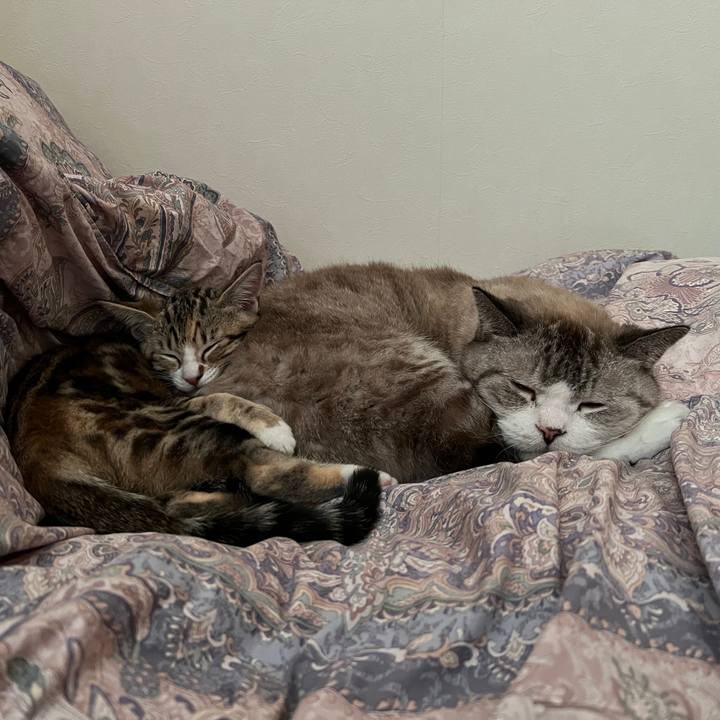 552f5072 399b 48b4 bf54 ecbbc474a815 1695799038954