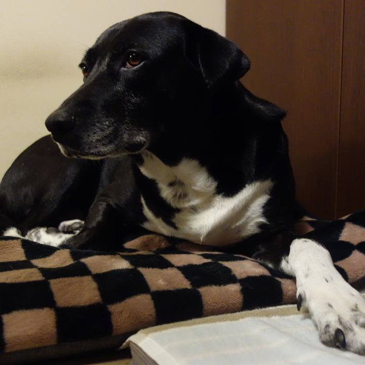 552f6778 411f 48d7 bf90 efcf5a553b94 1707215895099