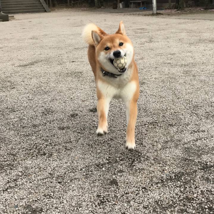 552f6d08 307d 4a7c b13a 4d9c15628b33 1524048901363