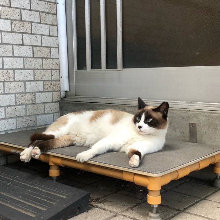 552f8384 4674 49fe a6c7 e7e6ffbcacb3 1656522737872