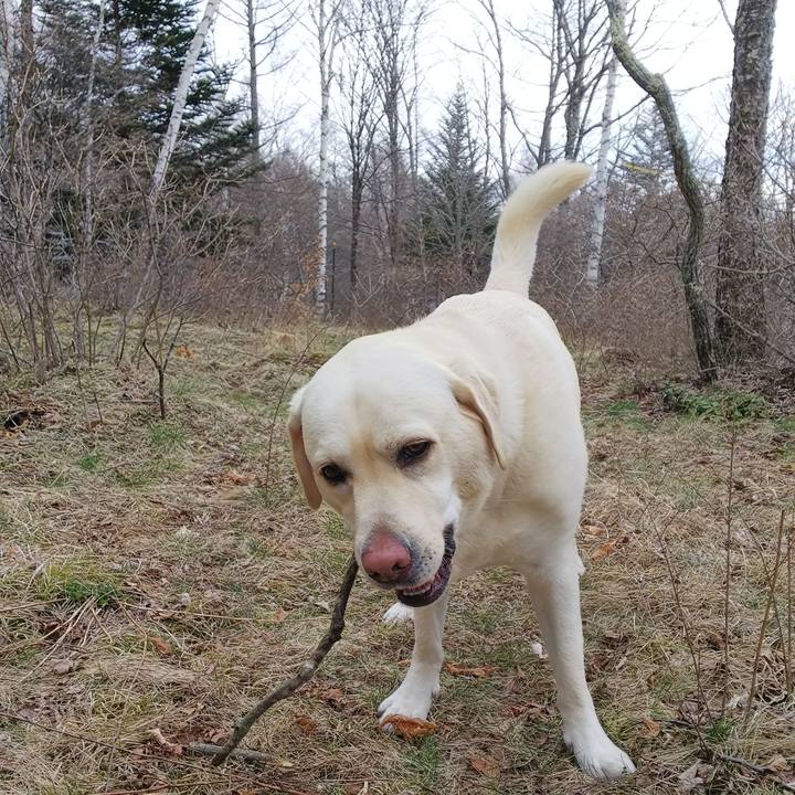 552fdb46 0ac2 4500 bf1c 7d6595396b7e 1556514791321