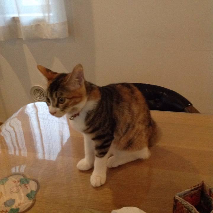 552ff2d0 5bcf 4706 a3d0 d5ea684ac2d5 1630532207789