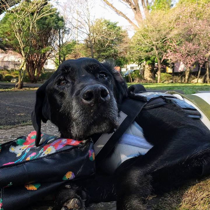 55304072 3dae 42be 89e3 9fbdaa146e20 1711753600573