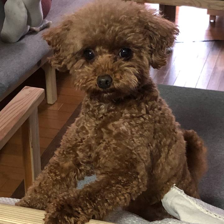 55304737 fc32 4b0e 8e7d 871ce76d5bdb 1591016476868