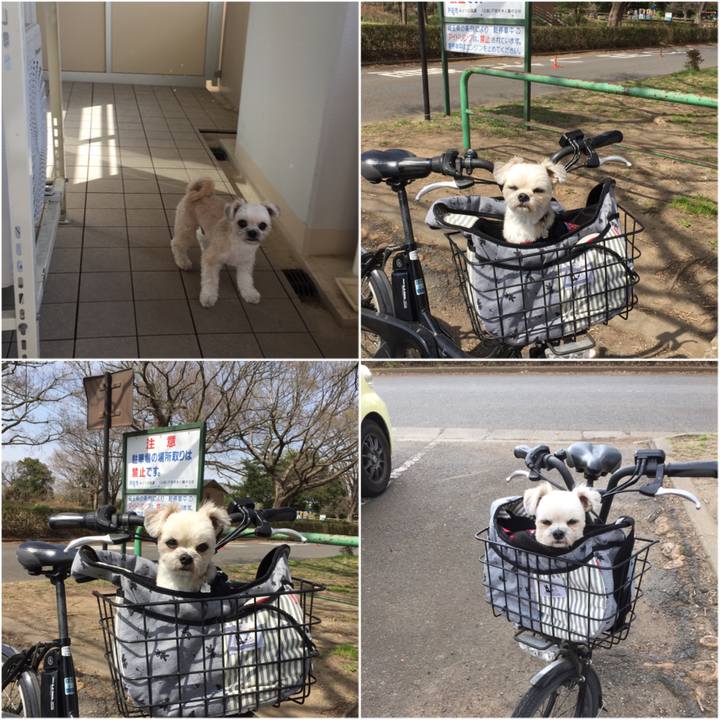 5530531f fc0a 4480 b8b3 4fc9e57038dc 1553237143432