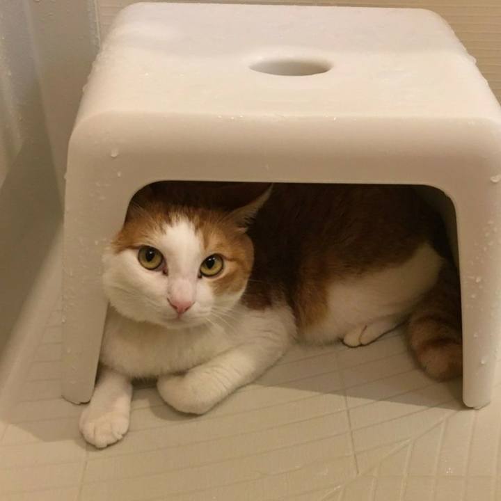 5530599e 1e9e 4c0f 84ac f450dc06b98f 1576591852833