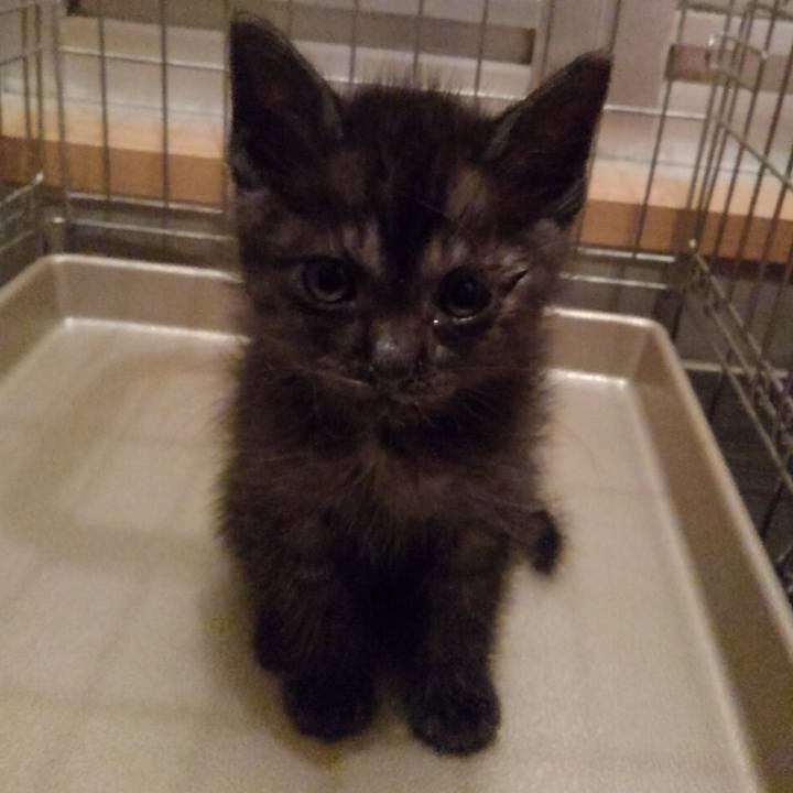 55305aec 7680 4351 a712 393b981050de 1552781107015