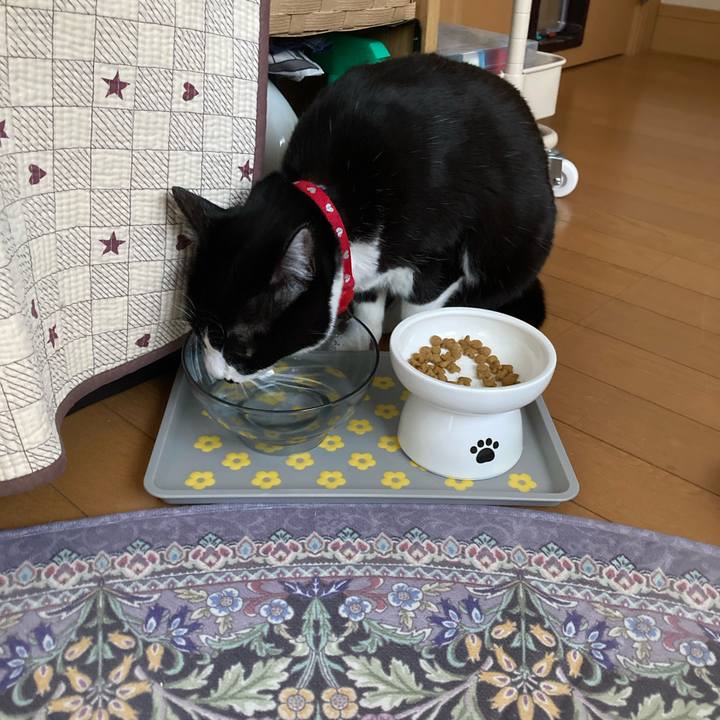 55306456 04ec 4545 9fcf fd1c7e6d4f1f 1766214039011