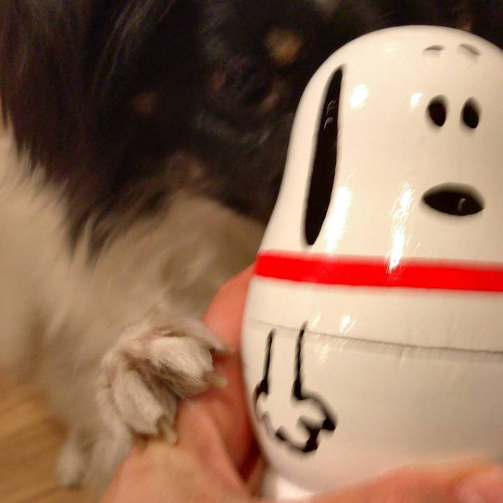 55307cf1 593f 49f0 9082 9b2086edf808 1515334834419