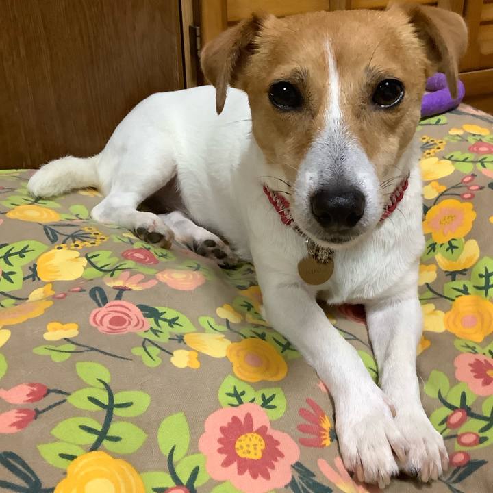 55309ce1 57f1 4482 8d33 268a087d42d6 1562316406883