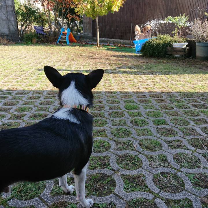 5530adc1 215d 4f49 a55e 1bd5d5328e90 1541413002233