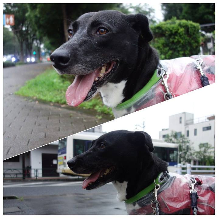 5530ff83 070a 42a2 9c67 1e92e74254bb 1625834473525