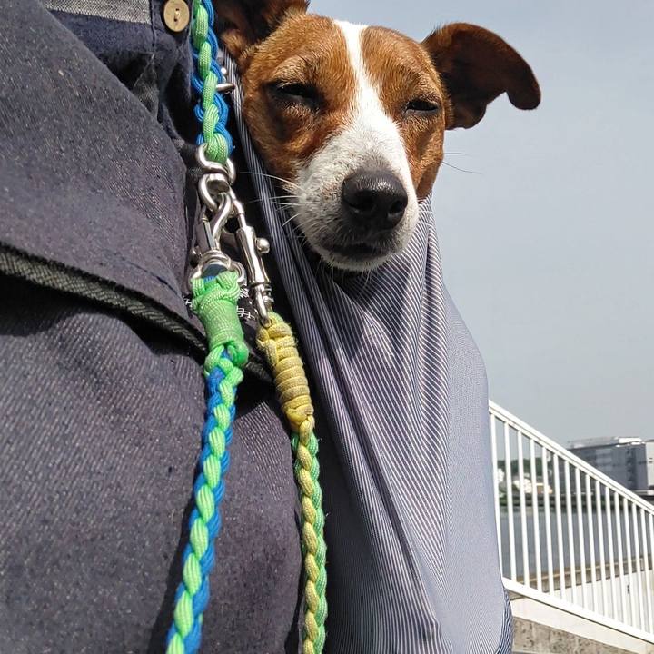 55318c17 0e7f 4780 88b6 e14f09c43416 1620986199276