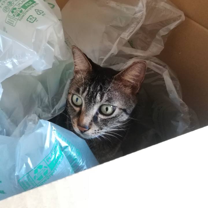 553197ad ae7b 453f 99ce e44b5e0eb8c8 1568522145780