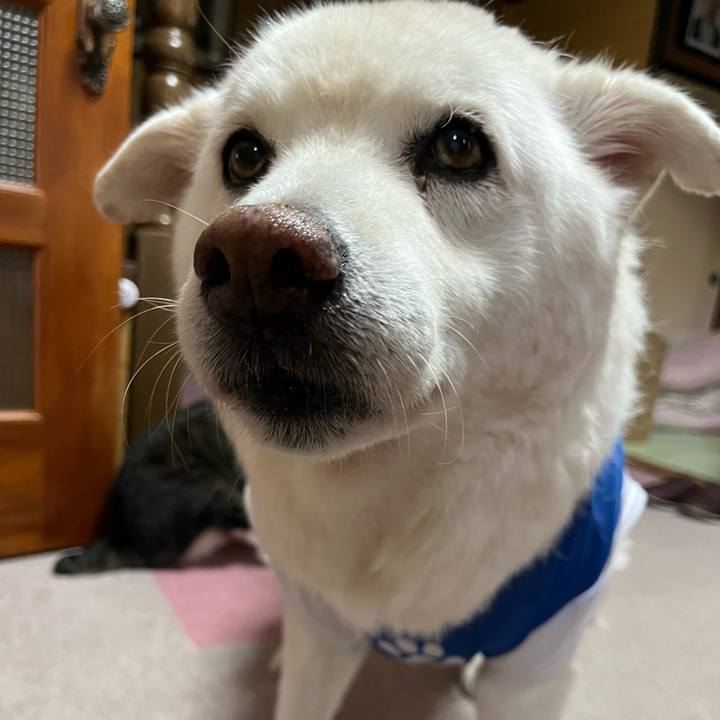 5531b3b3 fd0f 4e65 9e84 3c9989d30aa4 1759965912816