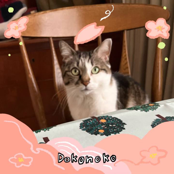 5531b7f2 7ec5 41d9 a8d7 3b39b090b155 1775519925222