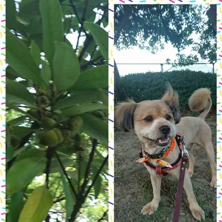 5531bd33 64b4 4c58 a923 6c7b22b2f705 1531218611862